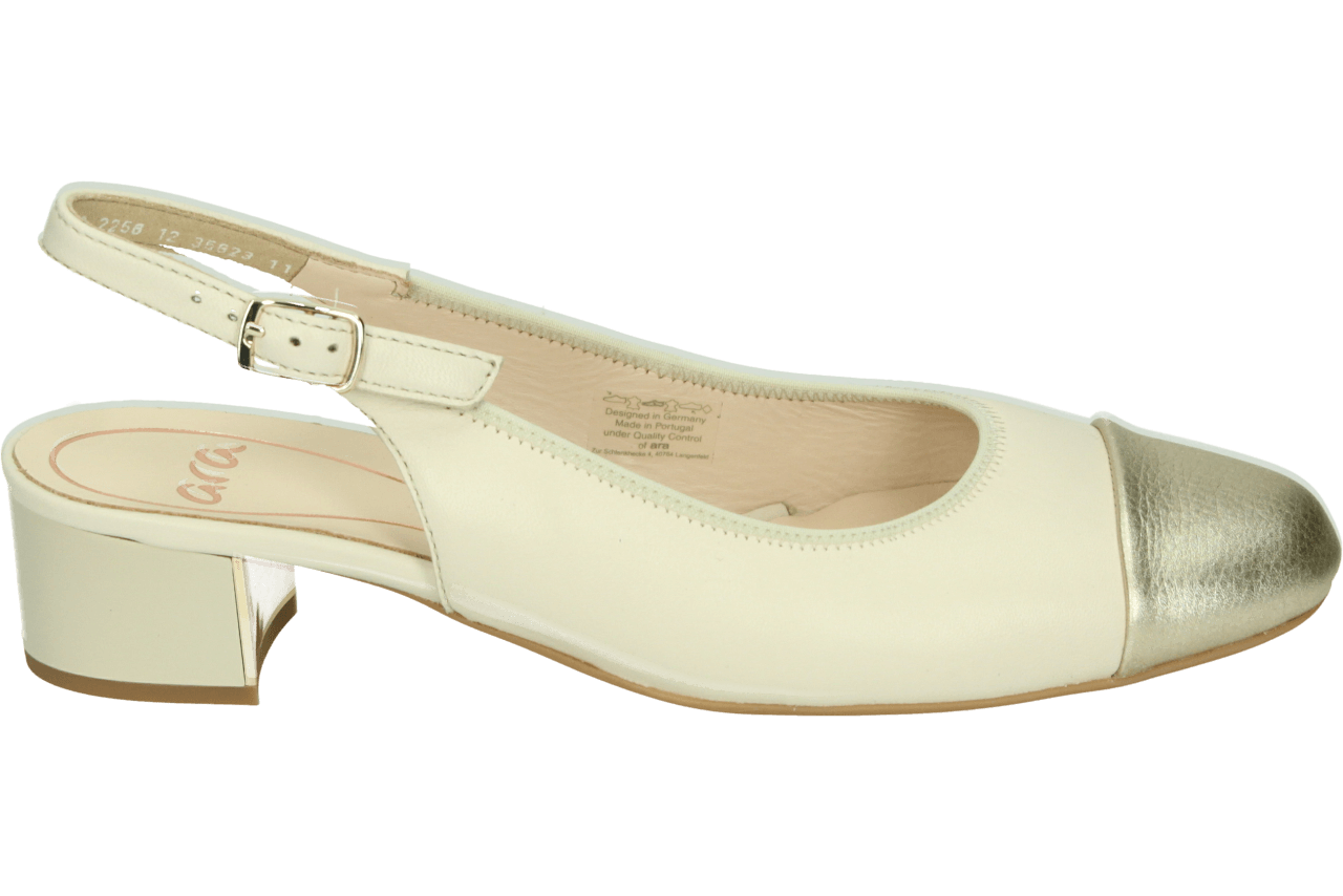 Ara 1235823 - alle
