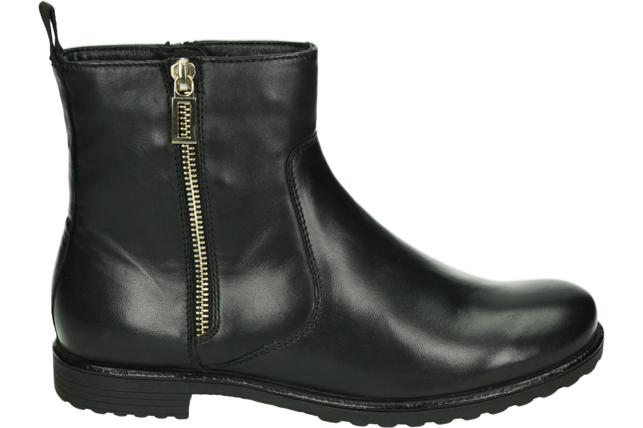 Ara 1239513 - alle