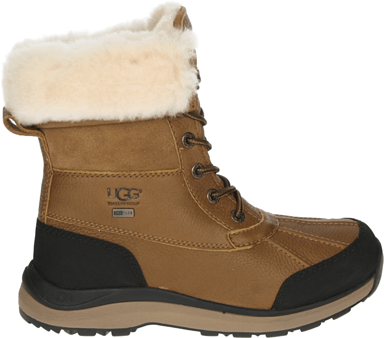 UGG ADIRONDACK BOOT III W - alle