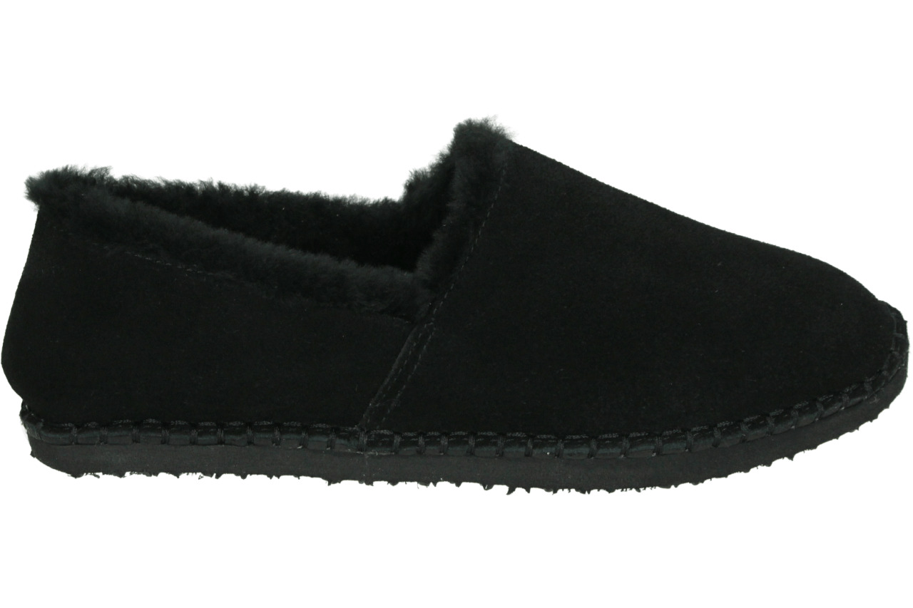 Ara 1529958 - alle