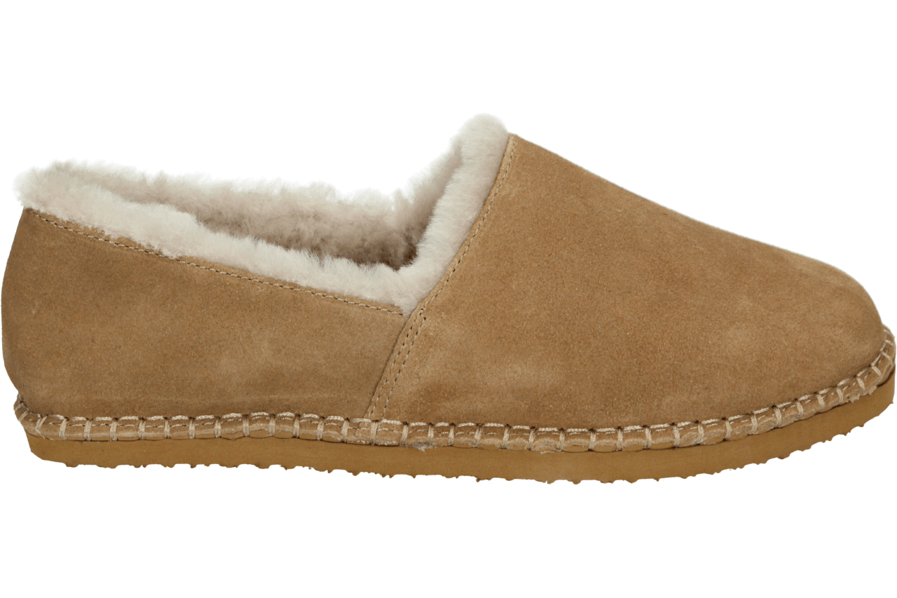 Ara 1529958 - alle