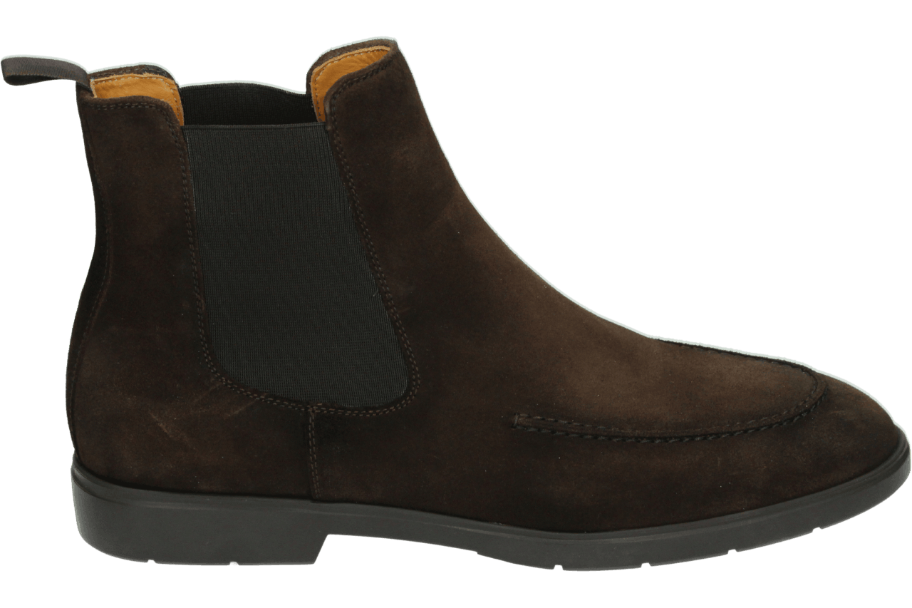 Magnanni 26780 POINTER - alle