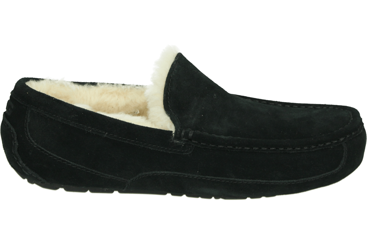 ugg M ASCOT - alle