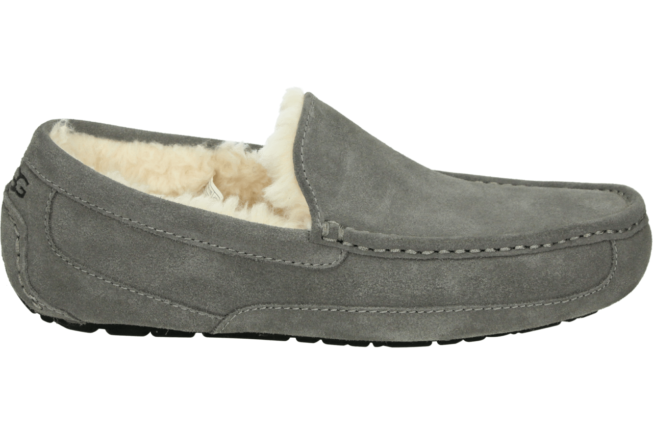 UGG ASCOT M NEW - alle