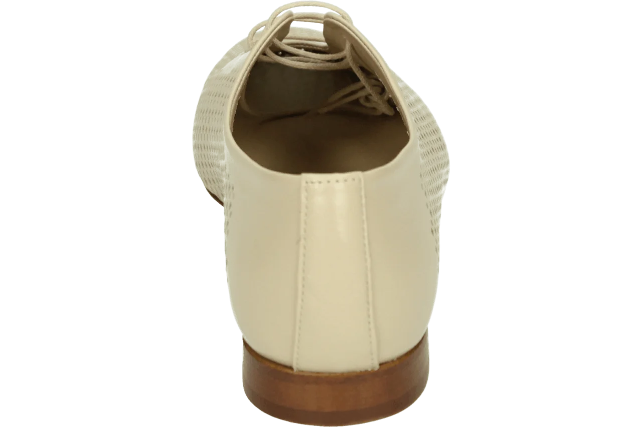 Pertini 261W33187D5 KAISER 211.20.007