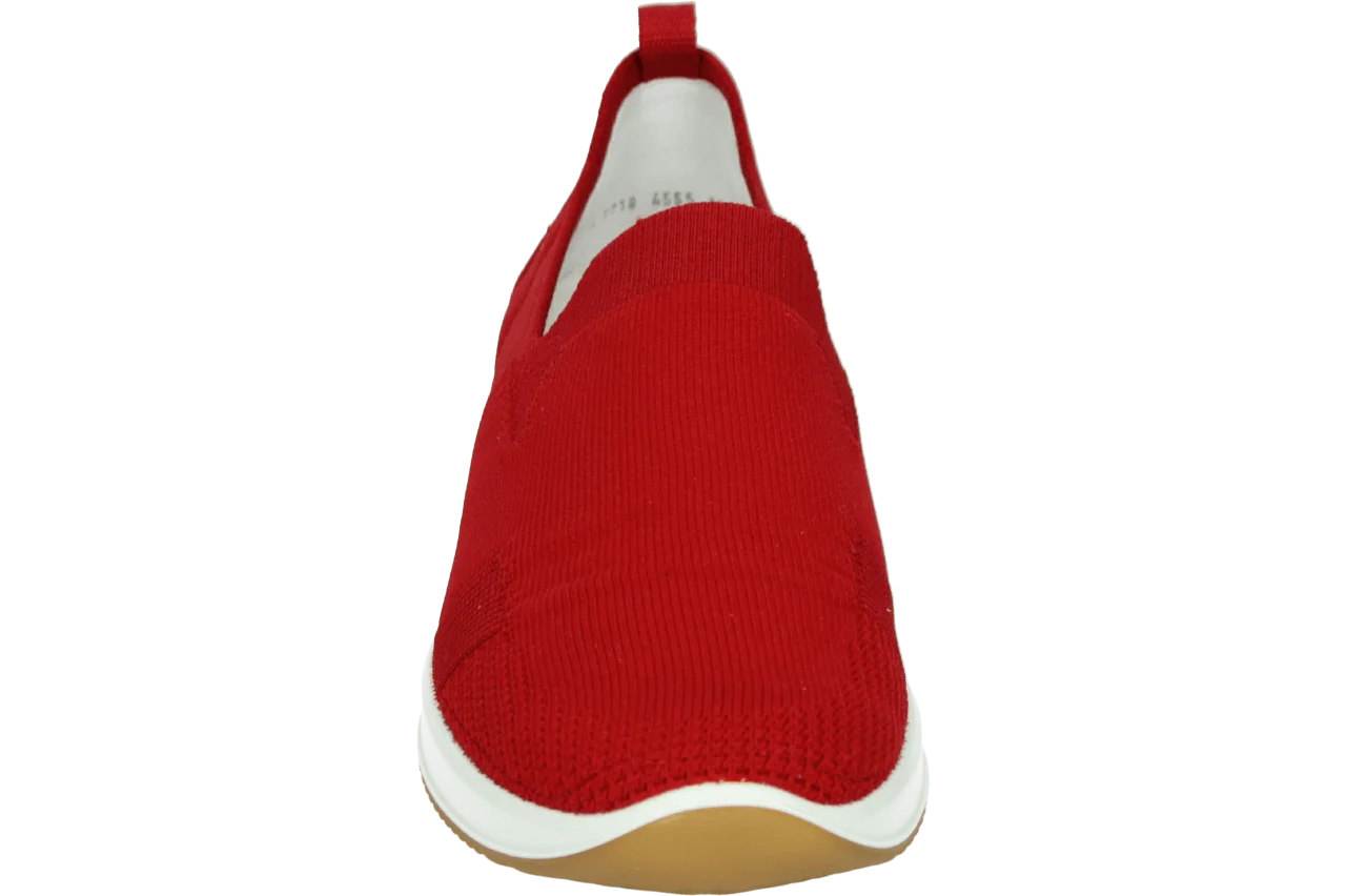 Ara 1254042 223.60.004