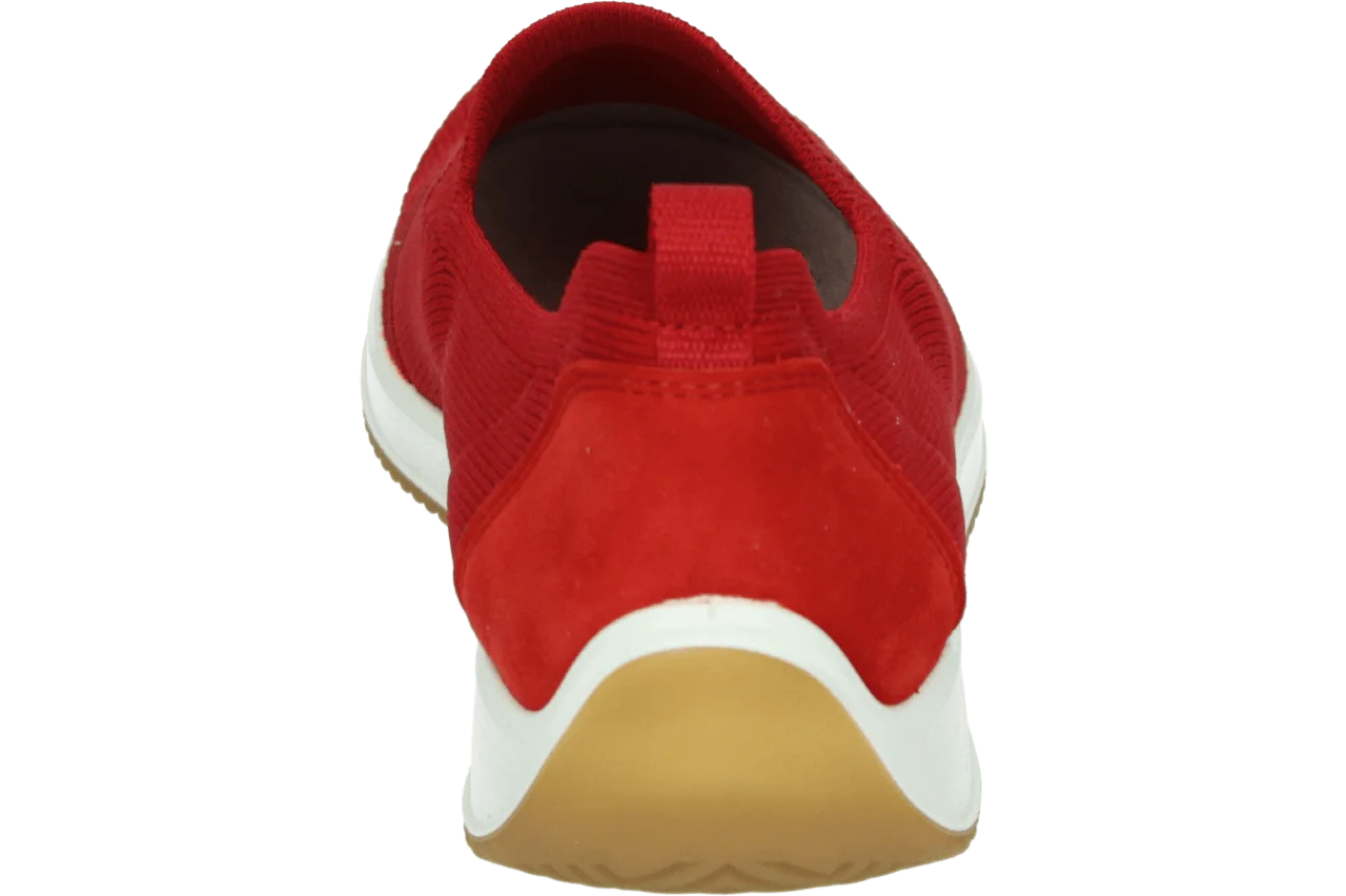 Ara 1254042 223.60.004