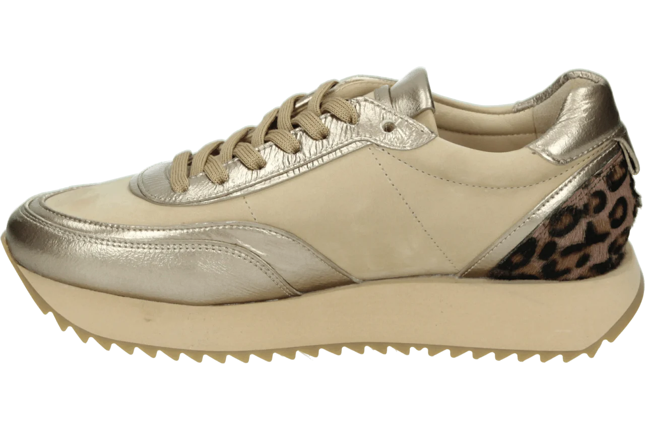 Kennel & Schmenger 21 19500.775 234.29.051