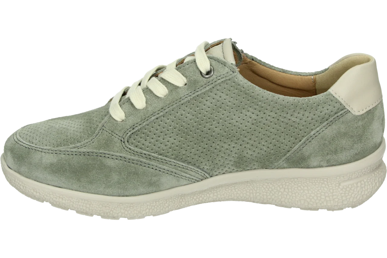 Hartjes 162.1604/99 234.80.024