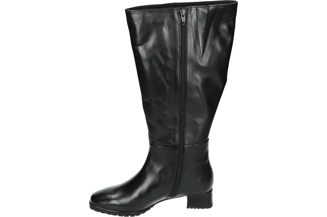 Ara 1220014 313.00.001