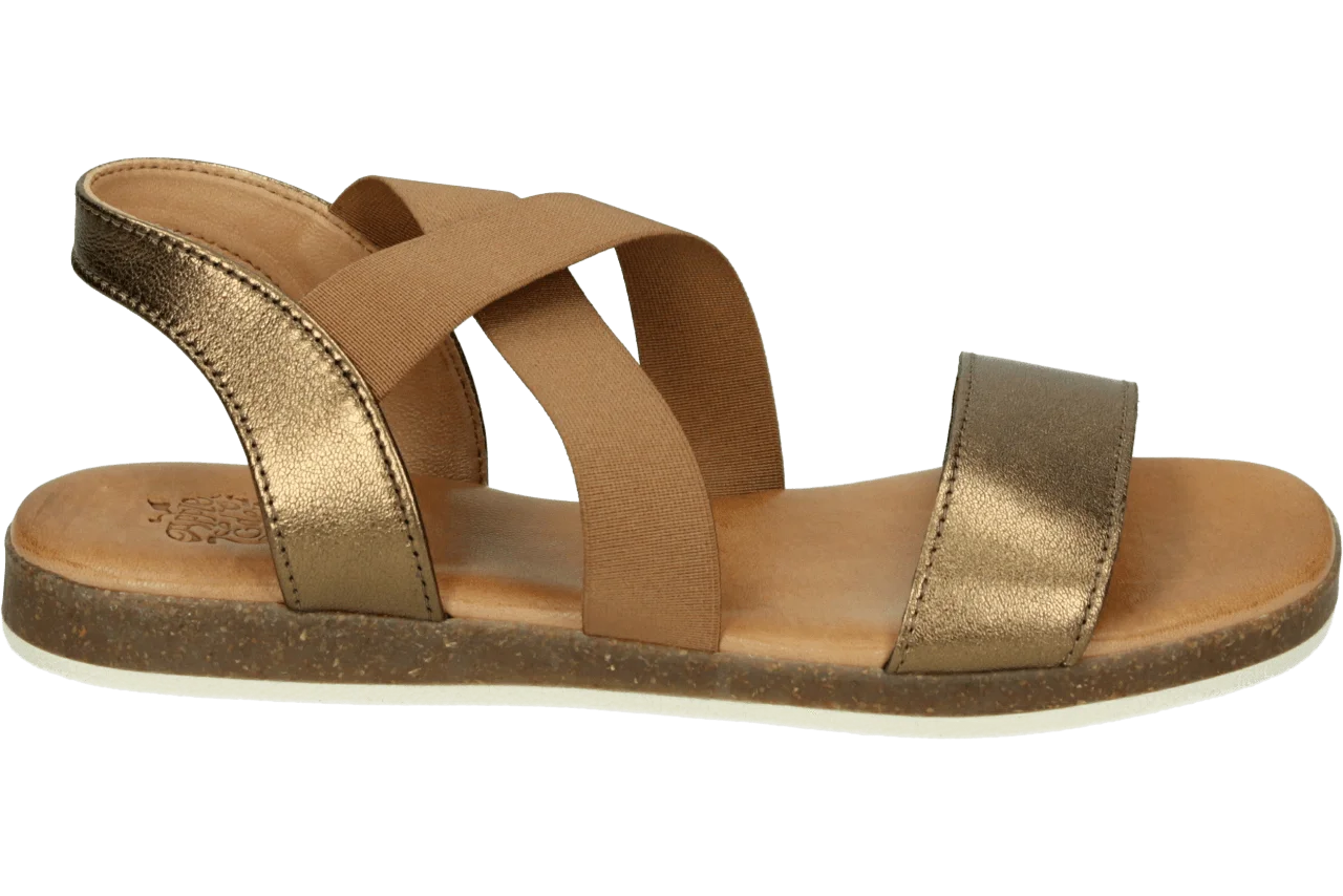 Apple of Eden IRIS 55 431.93.002