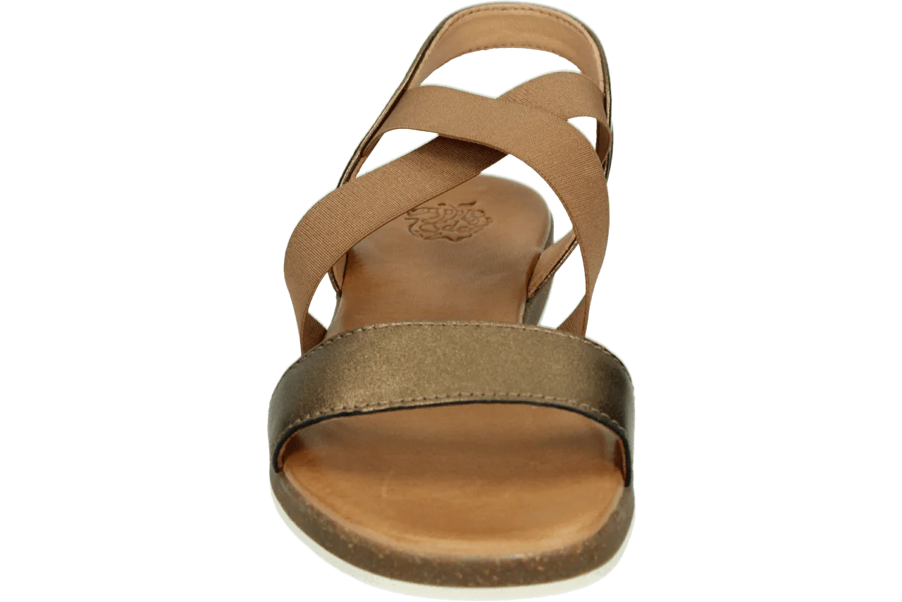 Apple of Eden IRIS 55 431.93.002