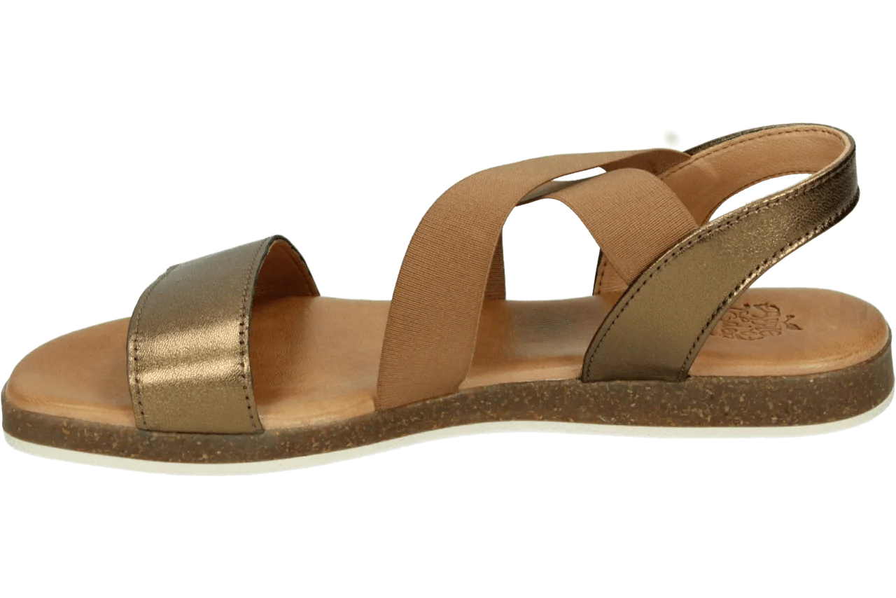 Apple of Eden IRIS 55 431.93.002