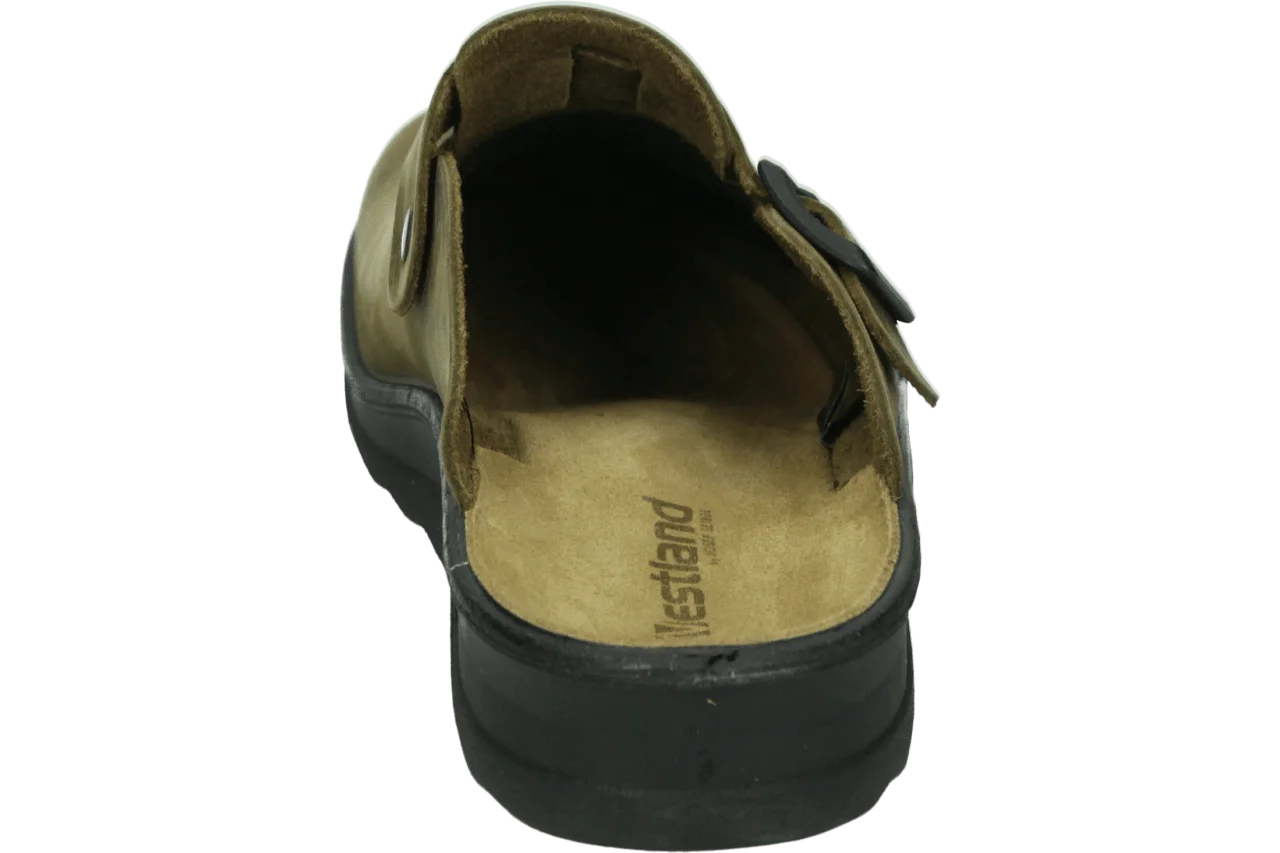 Westland METZ 265 591.80.001